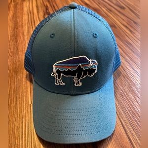Patagonia Bison Trucker Hat